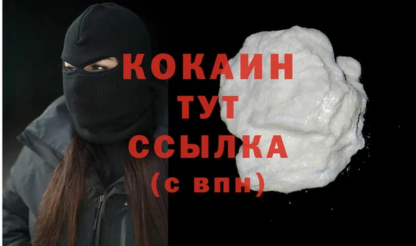 стафф Аркадак