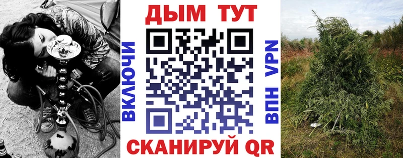 OMG ТОР  Мамоново  Шишки марихуана тримм 